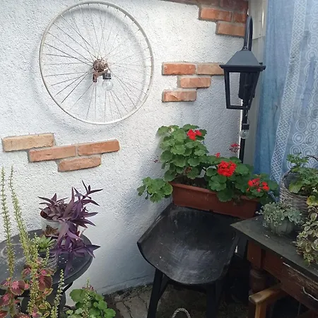 Apartament Revans Teazo Apartman- Belvaros *